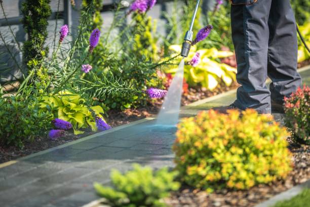 Trusted Griffin, GA Pressure Washing Services Experts