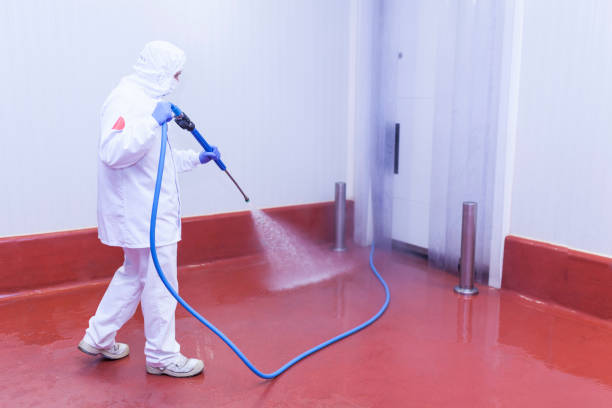 Best Boat and Dock Cleaning  in Griffin, GA
